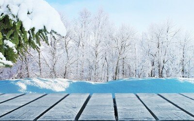 Winterizing Blog Series: Outdoor Spaces